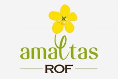 rof amaltas