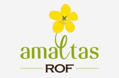 rof amaltas