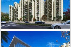 rof amaltas sector 92 elevation