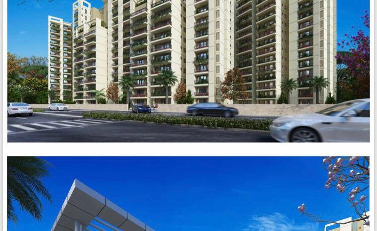 rof amaltas sector 92 elevation
