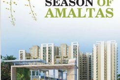 rof amaltas sector 92 justplan solution