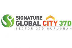 signatureglobal37d