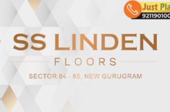 SS Linden Feature Image