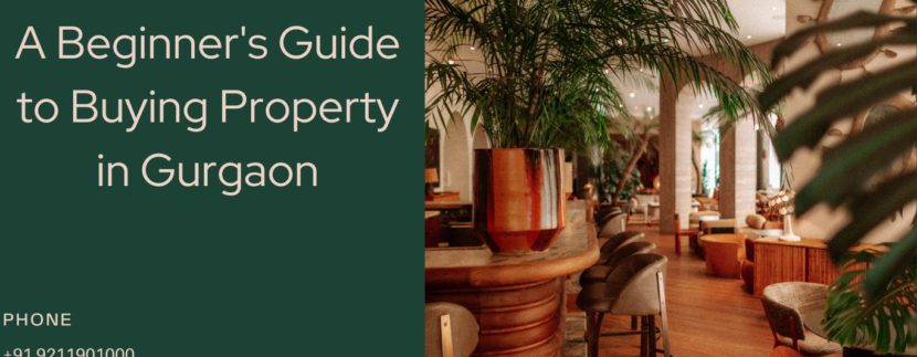 Beginner's Guide to Buying Property