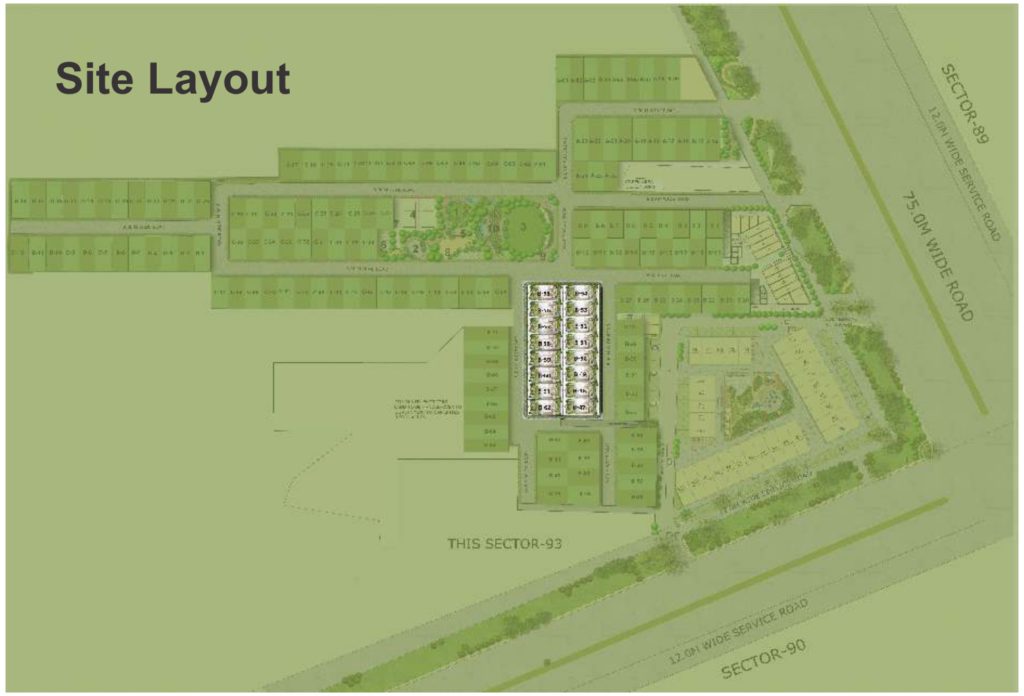 site-layout-rof-insignia