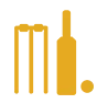 Cricket Net