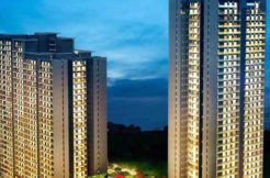 krisumi phase 1 waterfall residence in sector 36A. 3 Tower A, B and C.