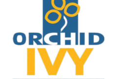 orchardivylogojustplan