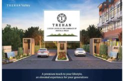 trehan valley floors justplancoin