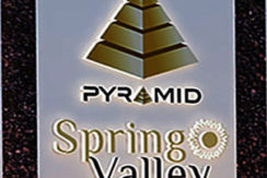 trehan luxury floor spring valley logo