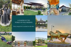 breez polo reserve justplancoin cafes view