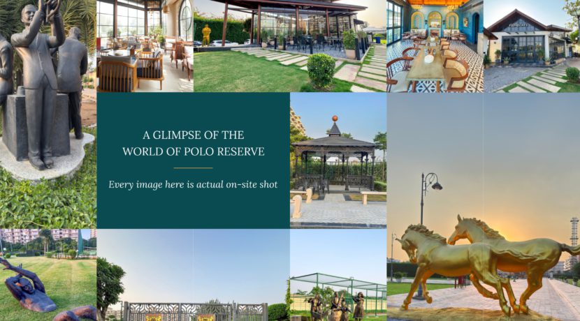 breez polo reserve justplancoin cafes view