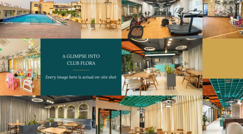 breez polo reserve justplancoin club flora glimpses