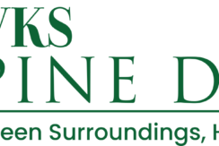 VKS-PINE-DRIVE-logo justplancoin