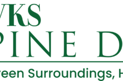 VKS-PINE-DRIVE-logo justplancoin